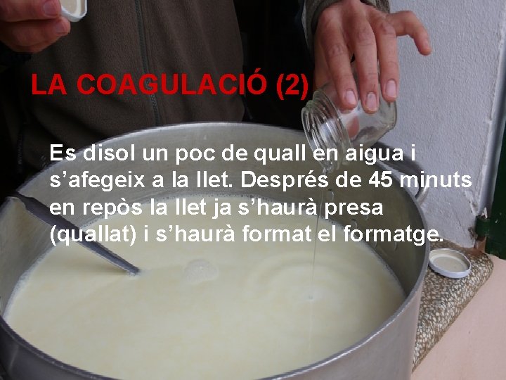 LA COAGULACIÓ (2) Es disol un poc de quall en aigua i s’afegeix a