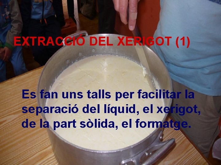 EXTRACCIÓ DEL XERIGOT (1) Es fan uns talls per facilitar la separació del líquid,