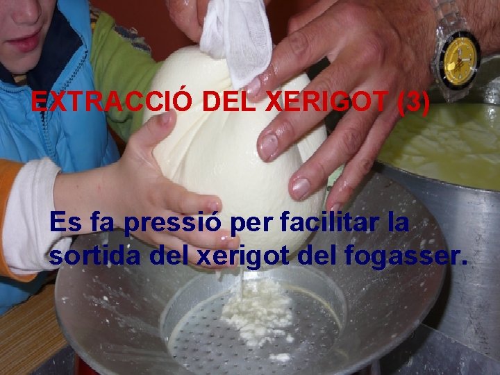 EXTRACCIÓ DEL XERIGOT (3) Es fa pressió per facilitar la sortida del xerigot del