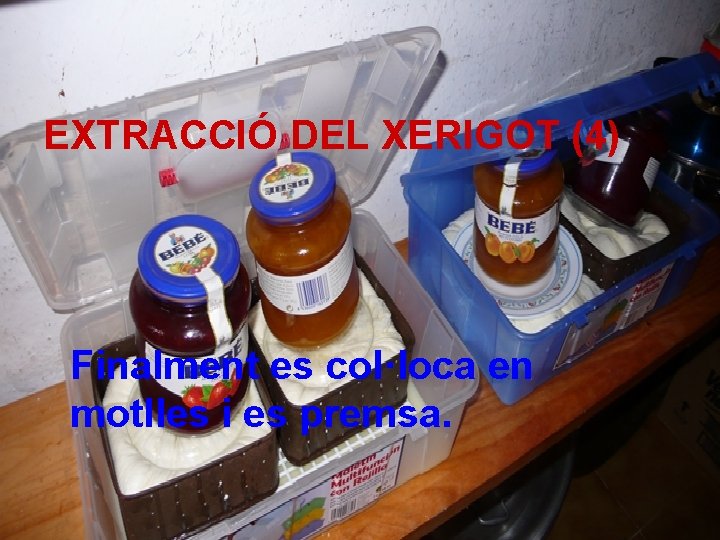 EXTRACCIÓ DEL XERIGOT (4) Finalment es col·loca en motlles i es premsa. 