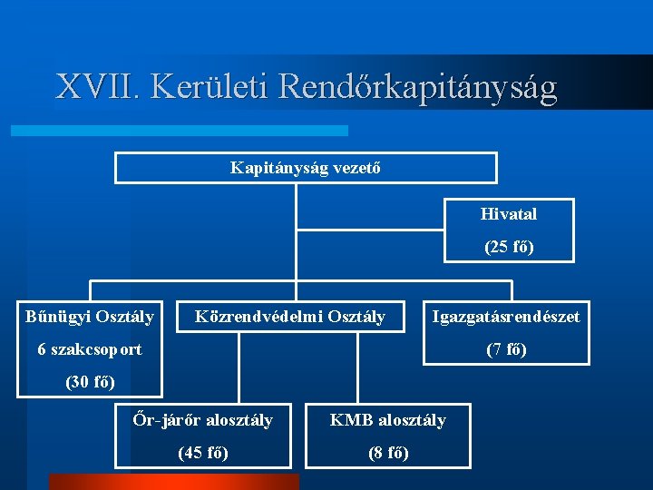 XVII. Kerületi Rendőrkapitányság Kapitányság vezető Hivatal (25 fő) Bűnügyi Osztály Közrendvédelmi Osztály Igazgatásrendészet 6