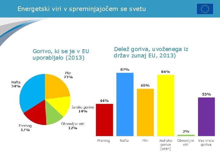 Energetski viri v spreminjajočem se svetu Gorivo, ki se je v EU uporabljalo (2013)