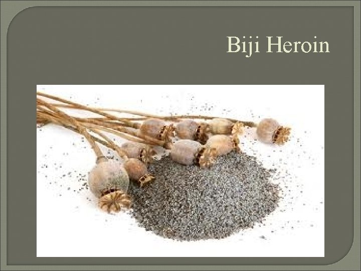 Biji Heroin 