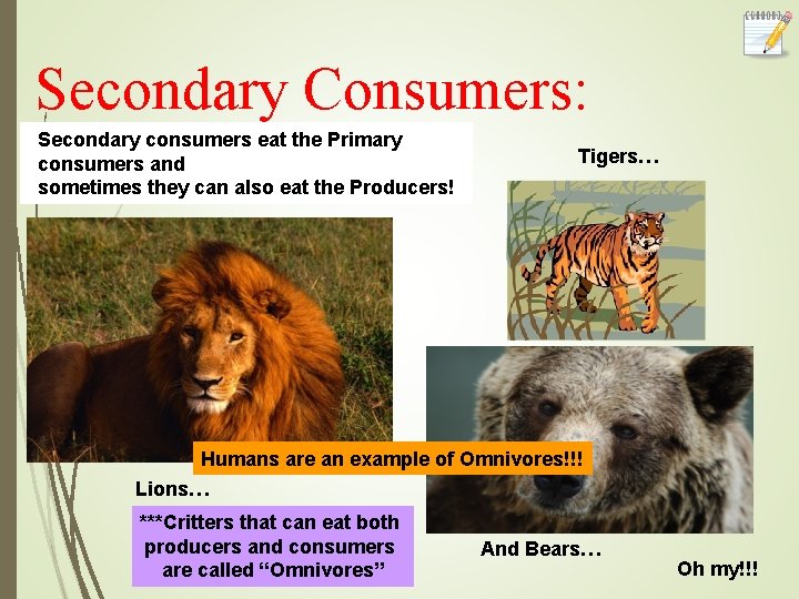 Bell work Week 33 Biosphere part of Earth