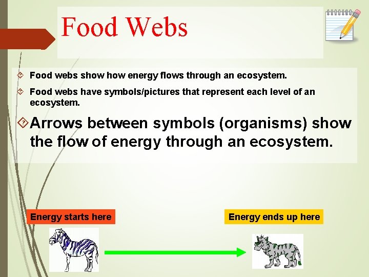 Food Webs Food webs show energy flows through an ecosystem. Food webs have symbols/pictures