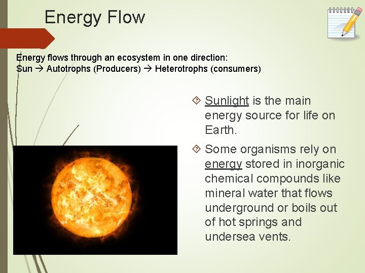 Energy Flow Energy flows through an ecosystem in one direction: Sun Autotrophs (Producers) Heterotrophs