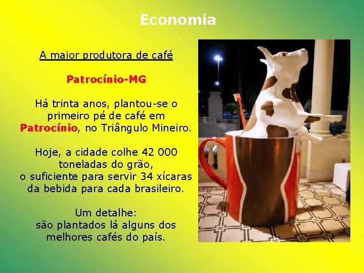 Economia A maior produtora de café Patrocínio-MG Há trinta anos, plantou-se o primeiro pé