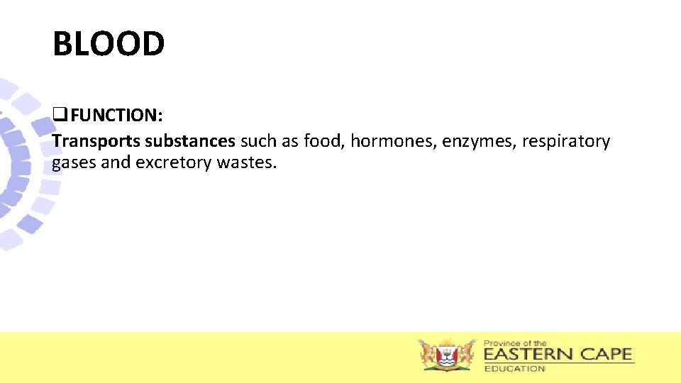 BLOOD q. FUNCTION: Transports substances such as food, hormones, enzymes, respiratory gases and excretory BLOOD q. FUNCTION: Transports substances such as food, hormones, enzymes, respiratory gases and excretory