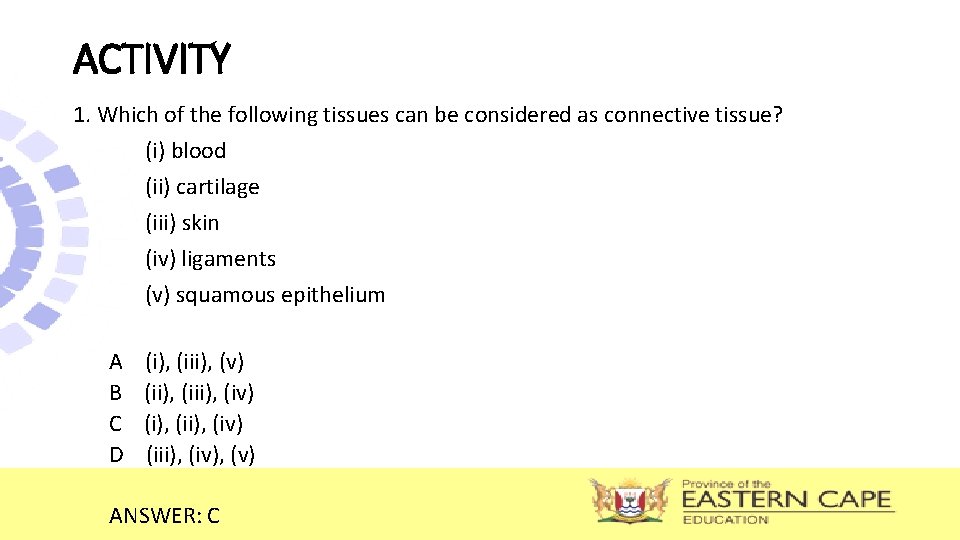 ACTIVITY 1. Which of the following tissues can be considered as connective tissue? (i) ACTIVITY 1. Which of the following tissues can be considered as connective tissue? (i)