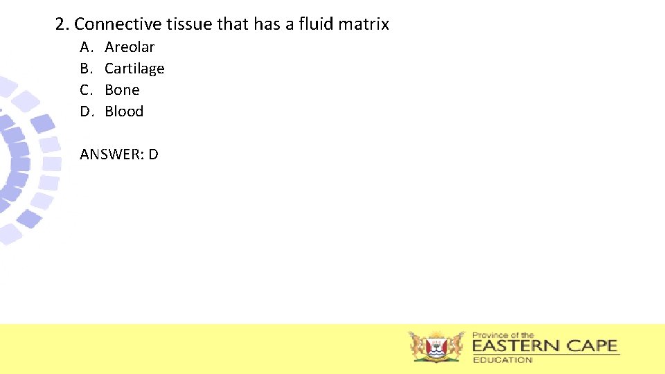 2. Connective tissue that has a fluid matrix A. B. C. D. Areolar Cartilage 2. Connective tissue that has a fluid matrix A. B. C. D. Areolar Cartilage