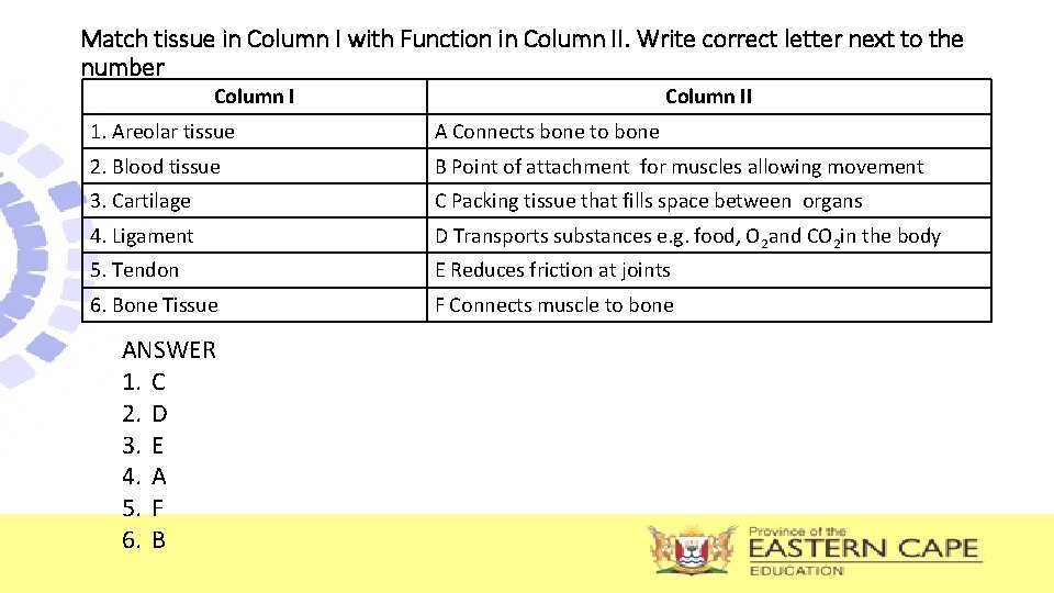 Match tissue in Column I with Function in Column II. Write correct letter next Match tissue in Column I with Function in Column II. Write correct letter next