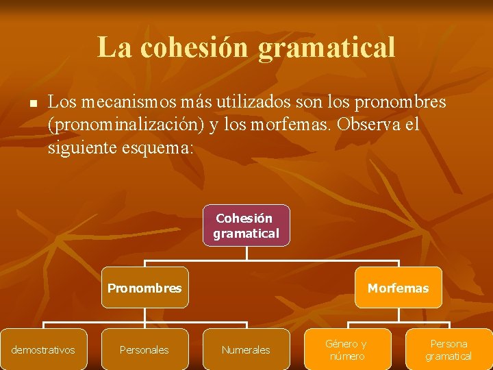 La cohesión gramatical n Los mecanismos más utilizados son los pronombres (pronominalización) y los