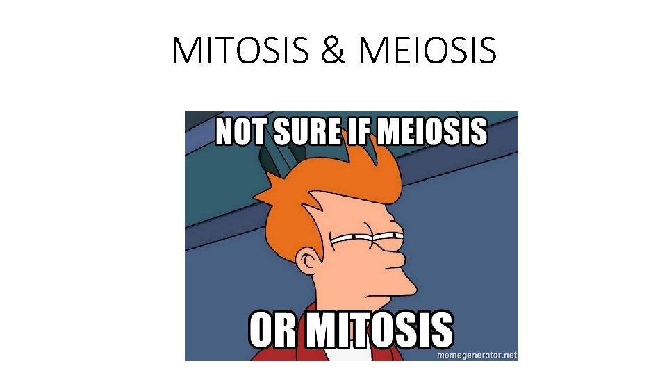 MITOSIS & MEIOSIS 