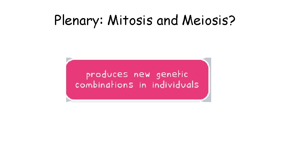 Plenary: Mitosis and Meiosis? 