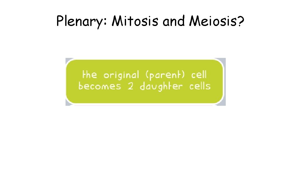 Plenary: Mitosis and Meiosis? 
