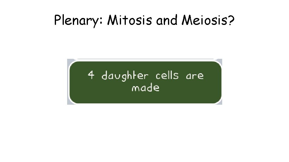 Plenary: Mitosis and Meiosis? 