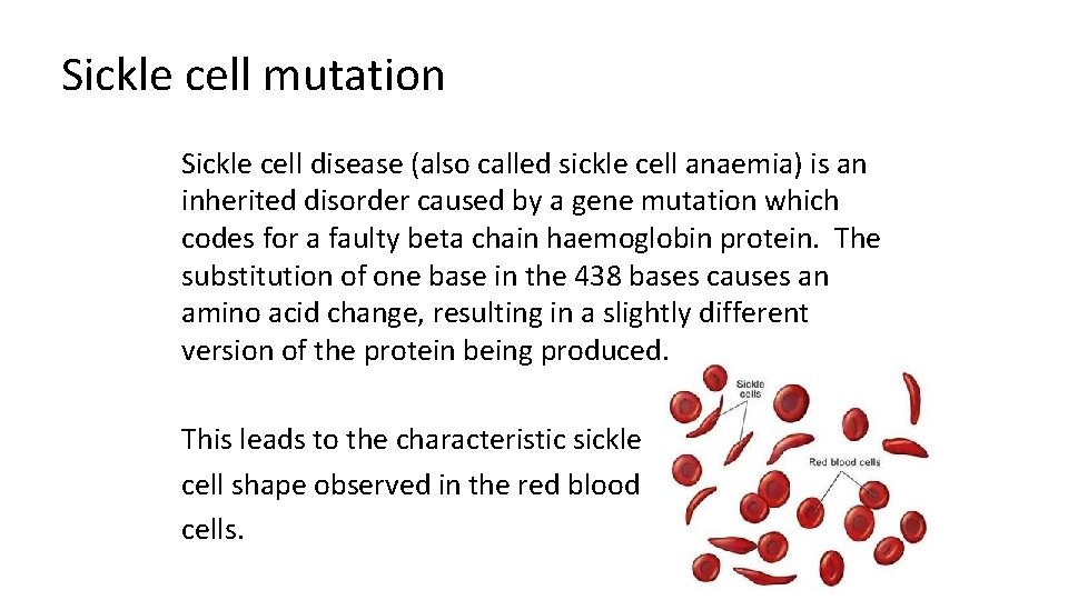 Sickle cell mutation Sickle cell disease (also called sickle cell anaemia) is an inherited
