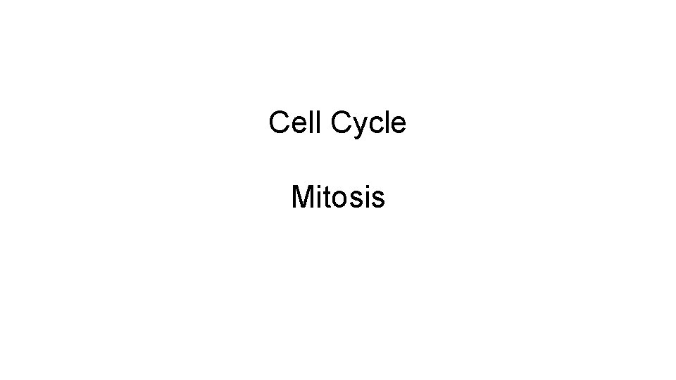Cell Cycle Mitosis 