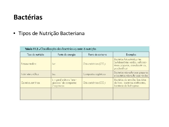 Bactérias • Tipos de Nutrição Bacteriana 