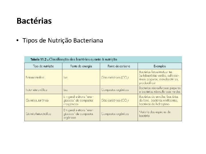 Bactérias • Tipos de Nutrição Bacteriana 