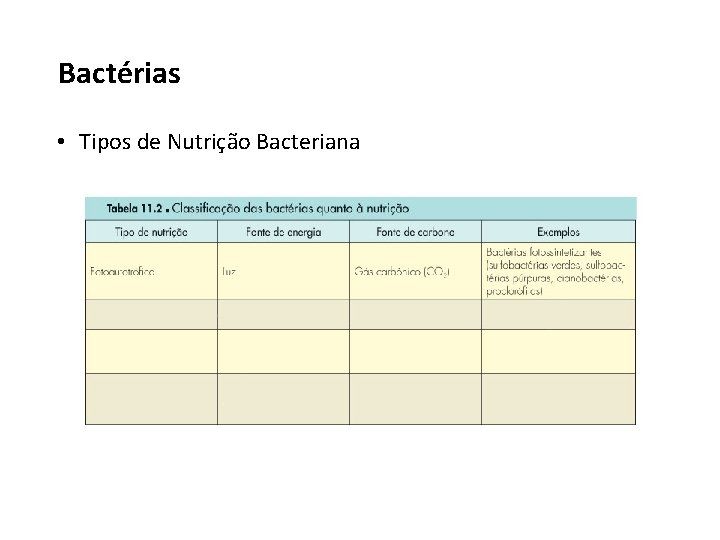 Bactérias • Tipos de Nutrição Bacteriana 