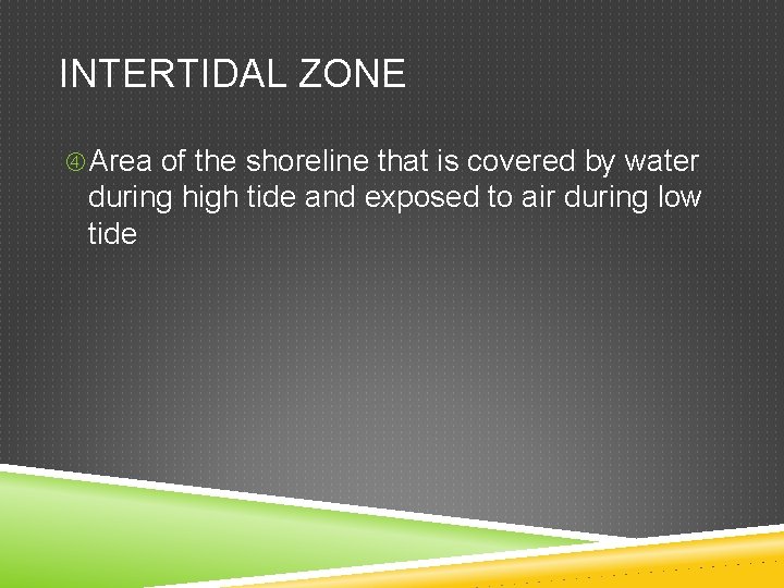 INTERTIDAL ZONE Area of the shoreline that is covered by water during high tide