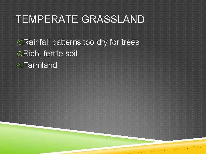 TEMPERATE GRASSLAND Rainfall patterns too dry for trees Rich, fertile soil Farmland 