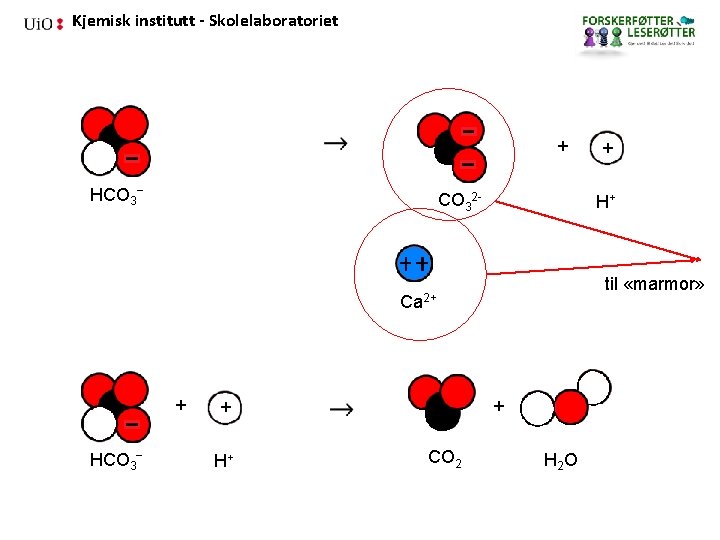 Kjemisk institutt - Skolelaboratoriet + HCO 3− CO 32 - H+ til «marmor» Ca