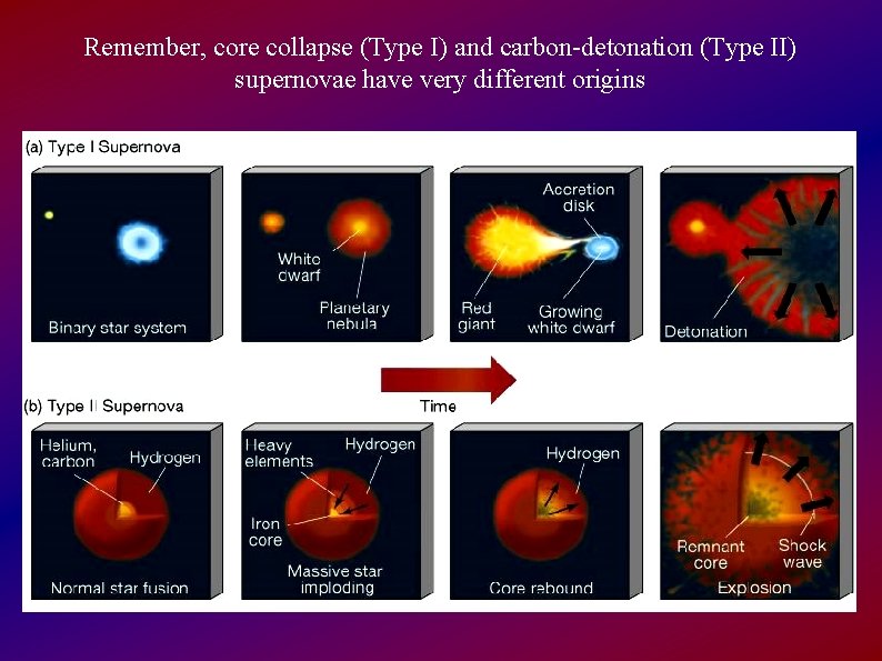 Remember, core collapse (Type I) and carbon-detonation (Type II) supernovae have very different origins