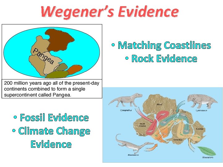 Wegener’s Evidence • Matching Coastlines • Rock Evidence • Fossil Evidence • Climate Change