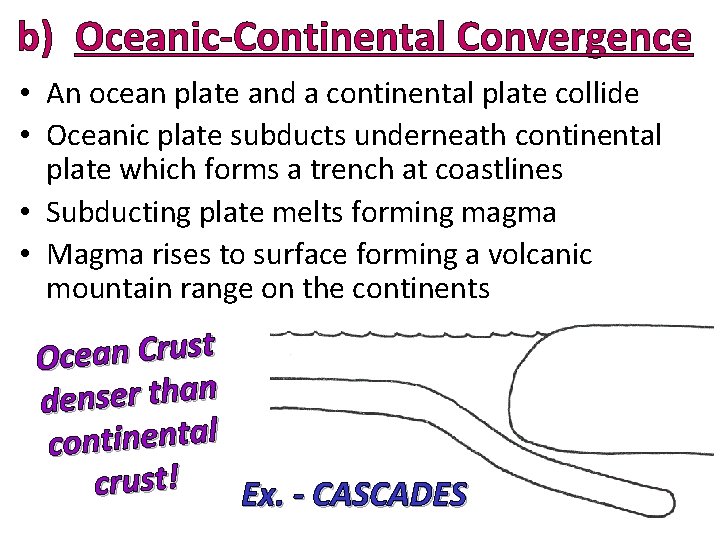 b) Oceanic-Continental Convergence • An ocean plate and a continental plate collide • Oceanic