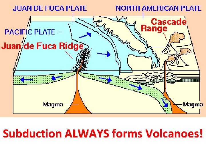 Subduction ALWAYS forms Volcanoes! 