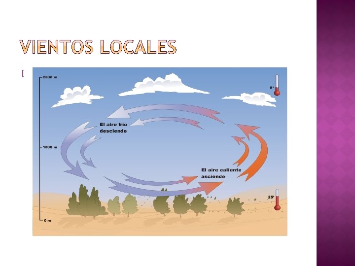 � Vientos que cambian diariamente y siguen un patrón regular en lugares de menor