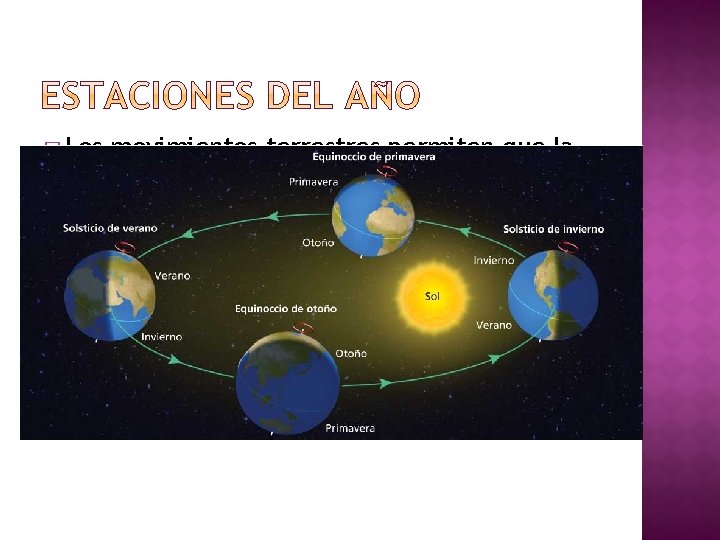 � Los movimientos terrestres permiten que la luz solar incida de forma distinta en