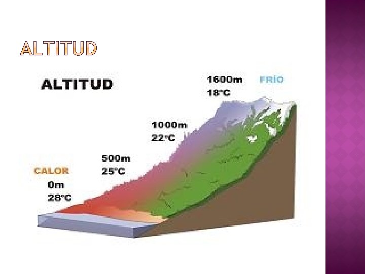 � Mientras un lugar se encuentre a mayor altura, tendrá menos temperatura. Lo anterior