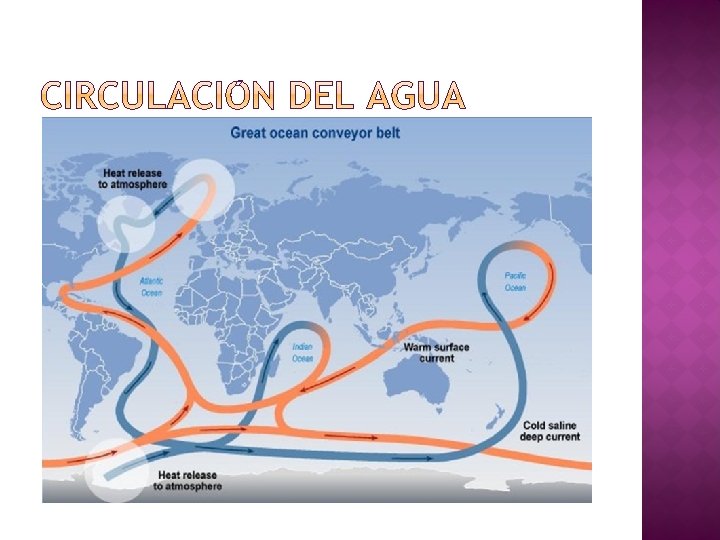 � Gracias a que el agua puede absorber gran cantidad de calor sin que