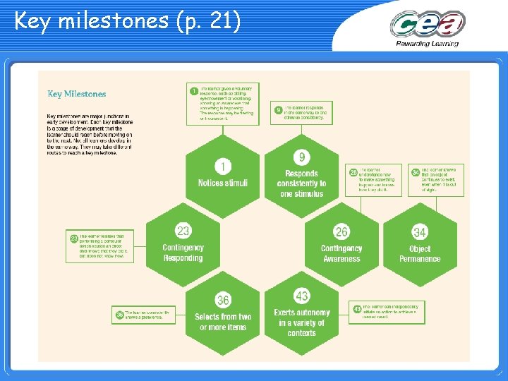 Key milestones (p. 21) 