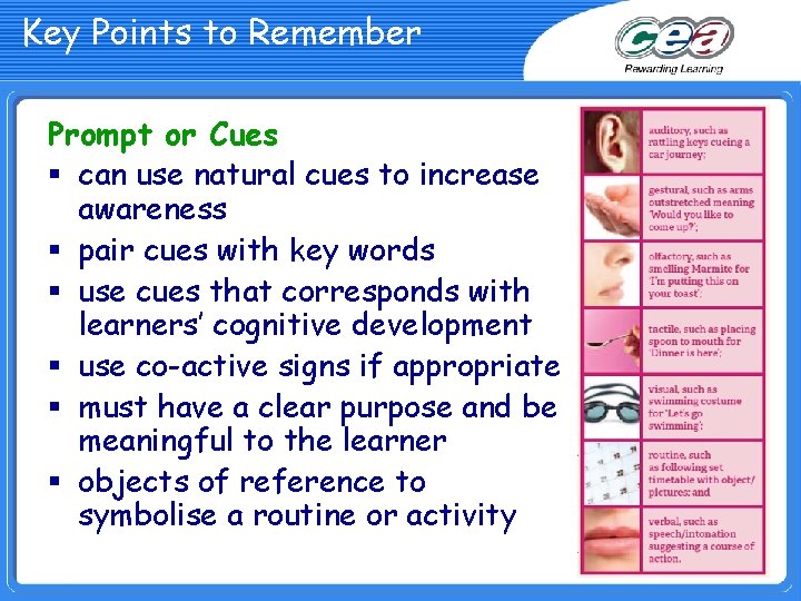 Key Points to Remember Prompt or Cues § can use natural cues to increase