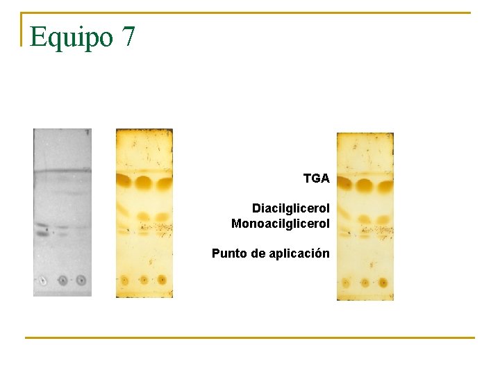Equipo 7 TGA Diacilglicerol Monoacilglicerol Punto de aplicación 