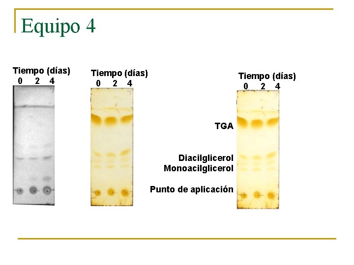Equipo 4 Tiempo (días) 0 2 4 TGA Diacilglicerol Monoacilglicerol Punto de aplicación 
