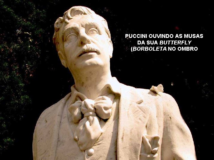 PUCCINI OUVINDO AS MUSAS DA SUA BUTTERFLY (BORBOLETA NO OMBRO 