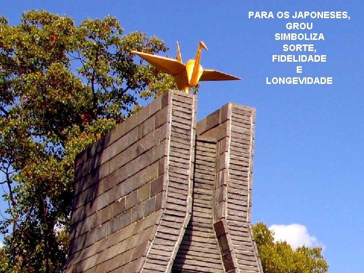 PARA OS JAPONESES, GROU SIMBOLIZA SORTE, SORTE FIDELIDADE E LONGEVIDADE 