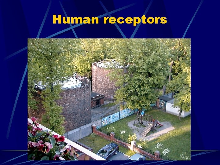 Human receptors 