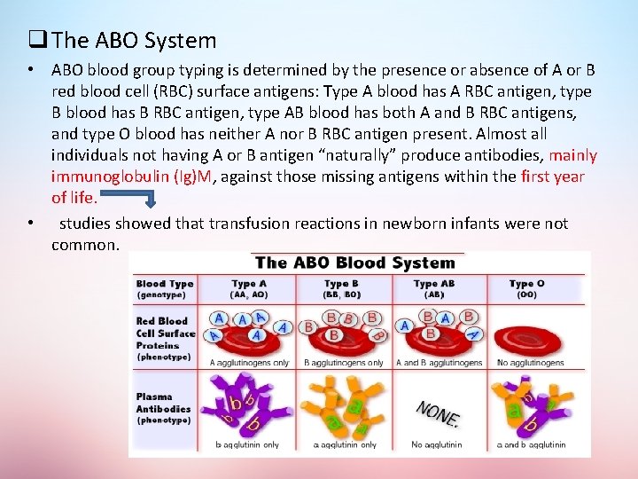 q The ABO System • ABO blood group typing is determined by the presence