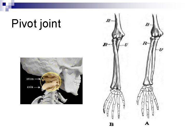 Pivot joint 