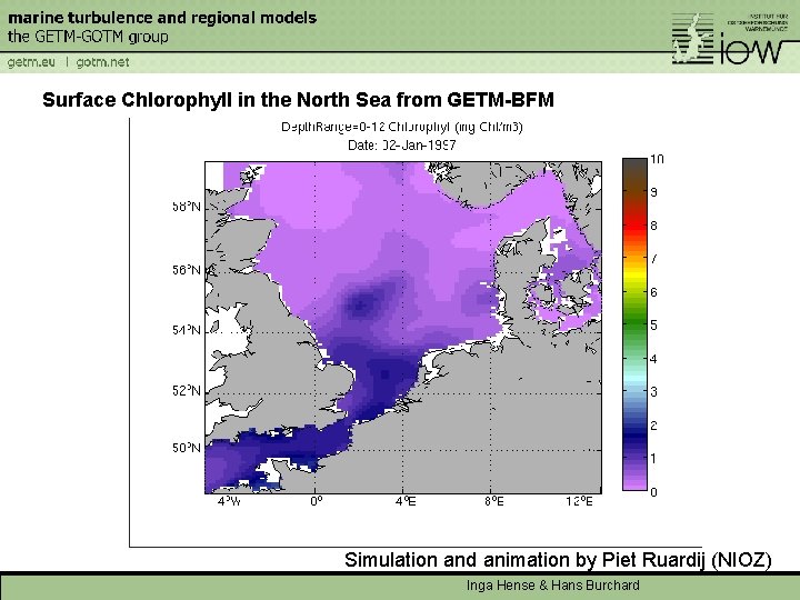 Surface Chlorophyll in the North Sea from GETM-BFM Simulation and animation by Piet Ruardij