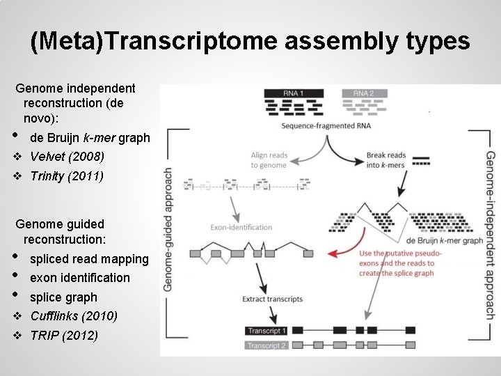 (Meta)Transcriptome assembly types Genome independent reconstruction (de novo): • de Bruijn k-mer graph ❖