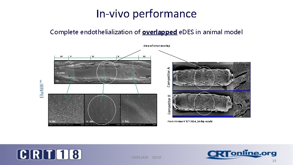 In-vivo performance Complete endothelialization of overlapped e. DES in animal model Competitor B Elu.