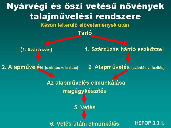 Nyárvégi és őszi vetésű növények talajművelési rendszere Későn lekerülő elővetemények után Tarló (1. Szárzúzás)