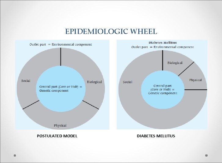 EPIDEMIOLOGIC WHEEL POSTULATED MODEL DIABETES MELLITUS 